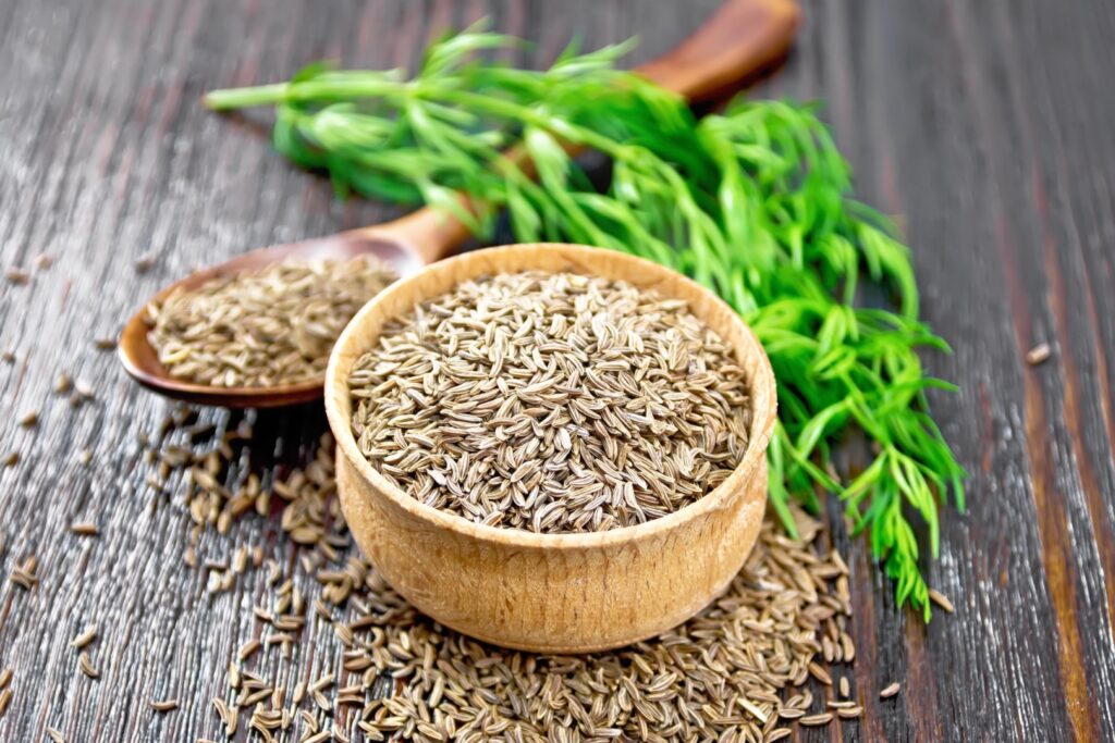 Cumin seeds in a bowl, spoon and on the table, a green sprig of caraway on dark wooden board background. Image Via Shutterstock