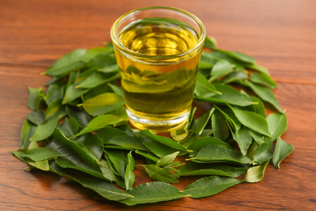 Fresh Indian curry leaves leaves. Image Via Shutterstock