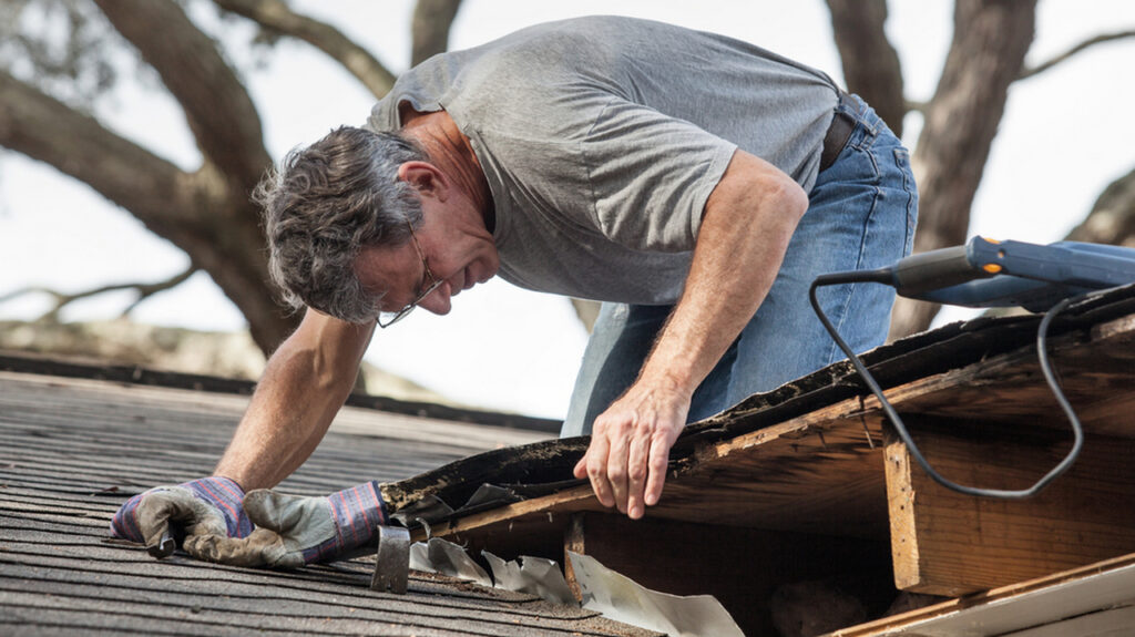 Sometimes, the clue to a leak isn't on your roof, it's hiding in your attic. Image: Shutterstock/ forestpath