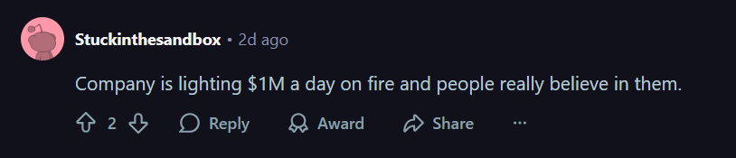 A comment on r/WallStreetBets subreddit. 