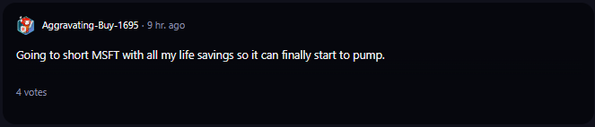 A comment on r/WallStreetBets subreddit.