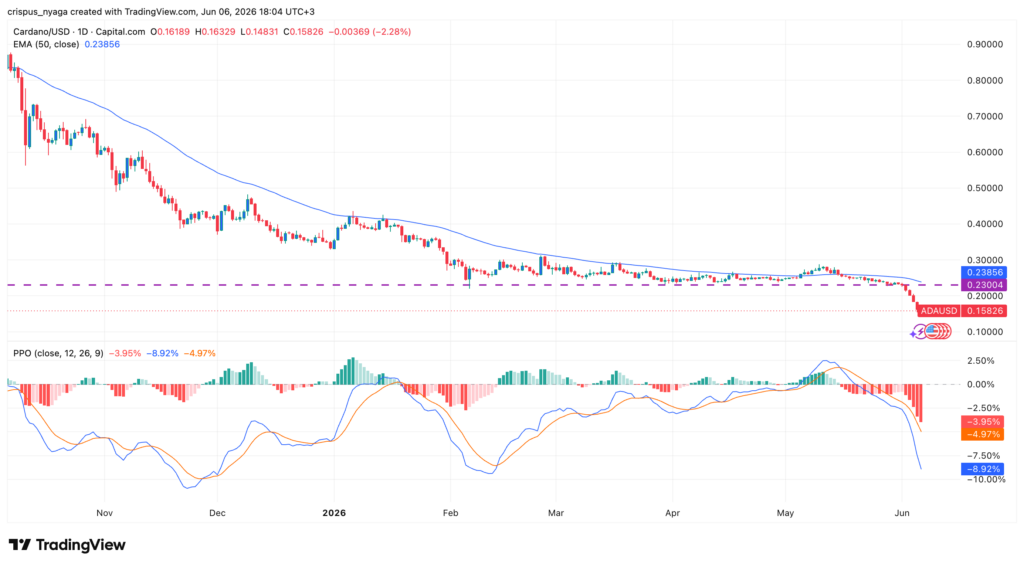 cardano price