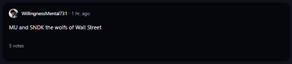 A comment on WallStreetBets subreddit.