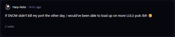 A comment on r/WallStreetBets subreddit. 