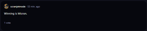 A comment on r/WallStreetBets subreddit.